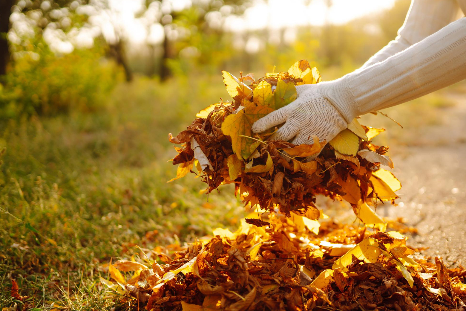 Martinez Lawn Care Designs